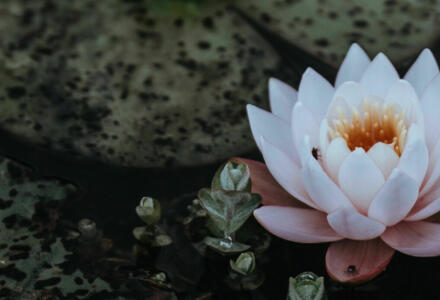Annie spratt e7ci ME0 PXKE unsplash
